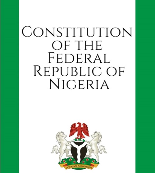 The Patriots: Nigeria needs new constitution not amendments to existing one