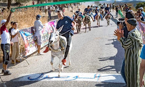 CULTURE & TOURISM: Morocco celebrates Festibaz donkey festival