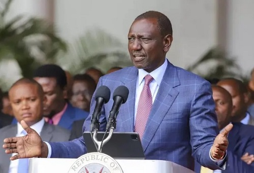 Public responses to the Kenyan cabinet’s dissolution