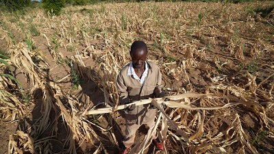 Africa is experiencing severe heat waves amid world record temperatures