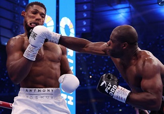 Sports News: Daniel Dubois destroys Anthony Joshua in blazing display