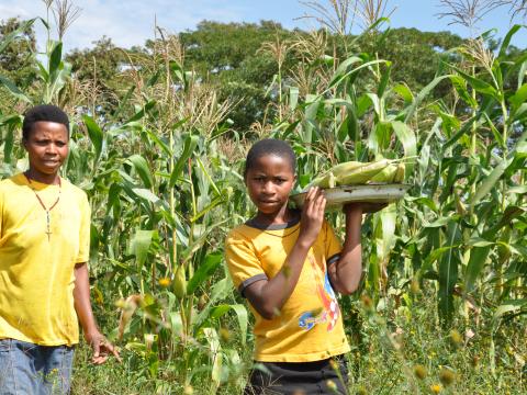 Agric