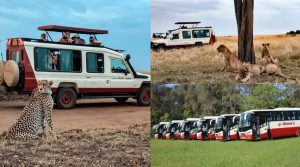 Pollman'S Tours & Safaris. [X, formerly Twitter]