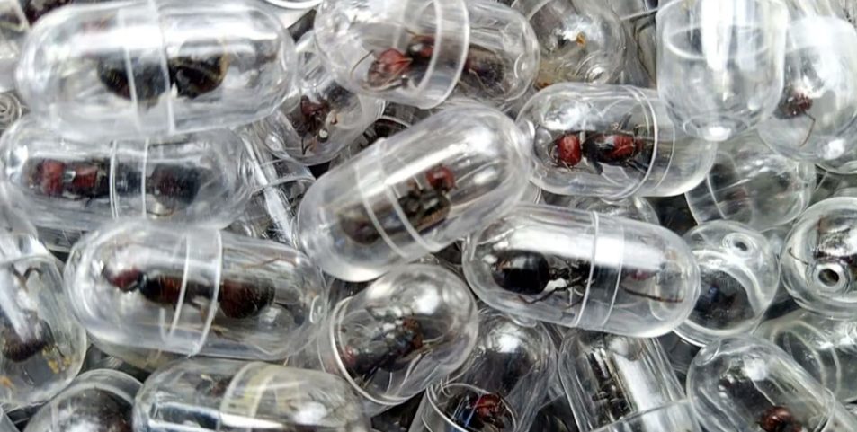 Screenshot Capture - 2026-03-12 - 20-46-29