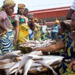 Market woman selling fish in Nigeria market