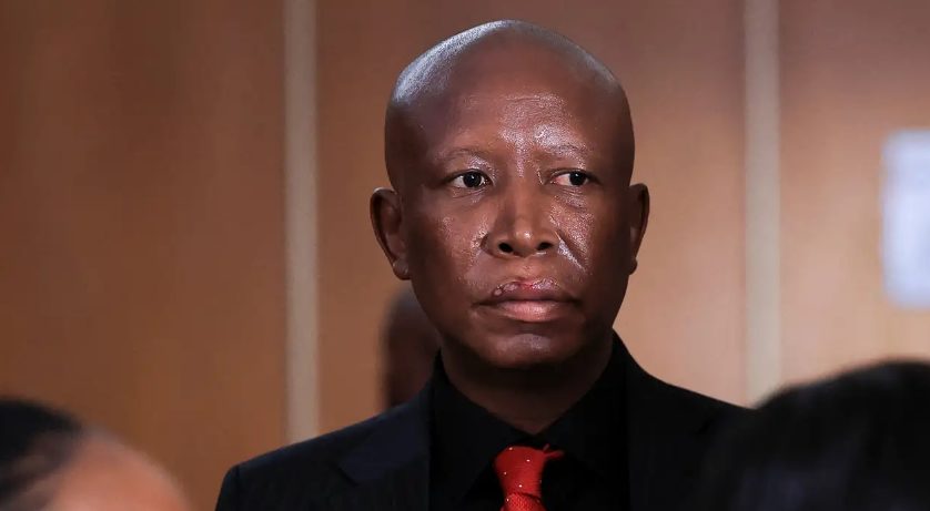Julius Malema