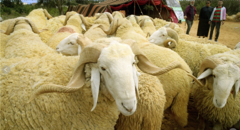 RAM