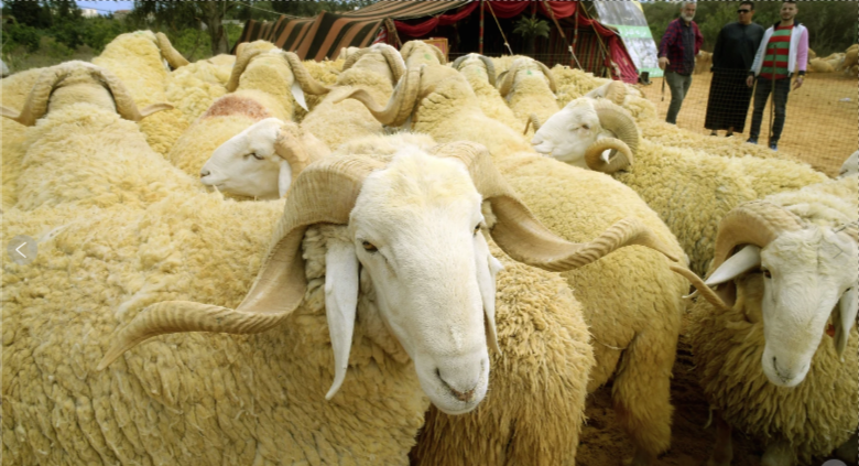 RAM