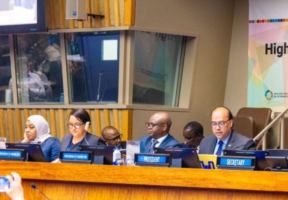 UN Forum: Tanzania Reports SDG Progress, Gaps Remain